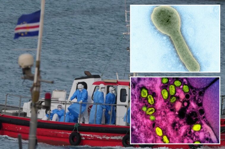 hantavirus-concerns?-4-other-emerging-animal-to-human-diseases-that-can-be-extremely-deadly