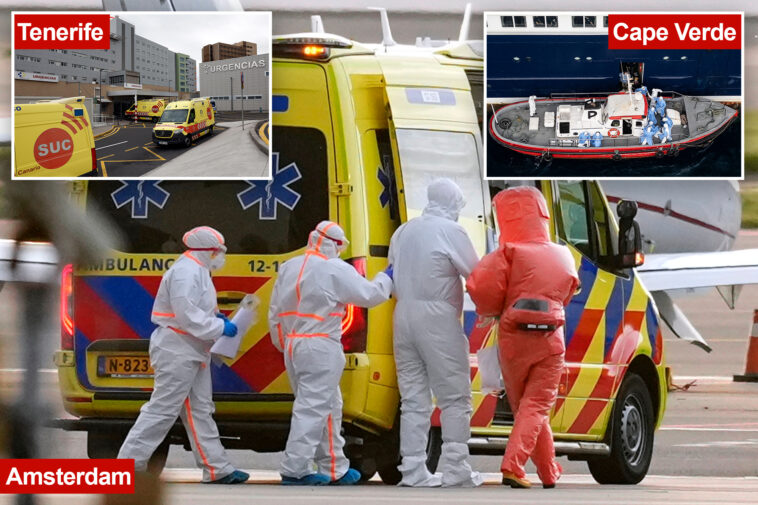 arrival-of-hantavirus-ridden-mv-hondius-cruise-ship-revives-covid-flashbacks-in-canary-islands:-‘i-don’t-think-we-can-cope’
