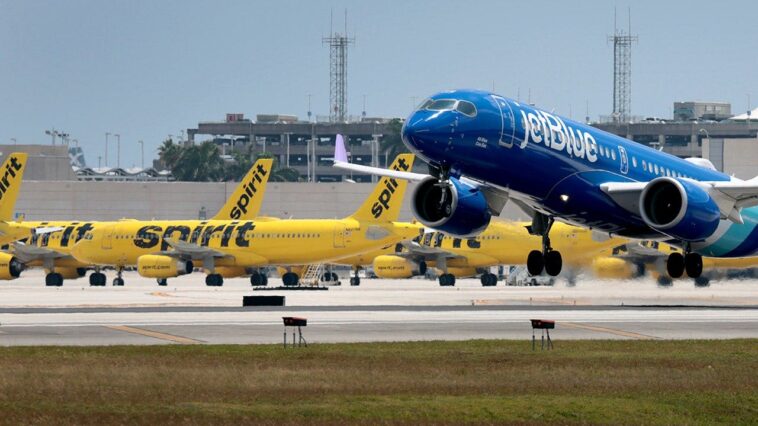 the-inconvenient-truth-behind-the-left’s-horrible-spirit-airlines-debacle