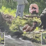 beaver-that-attacked-8-year-old-boy-at-new-jersey-lake-in-wild-video-has-rabies