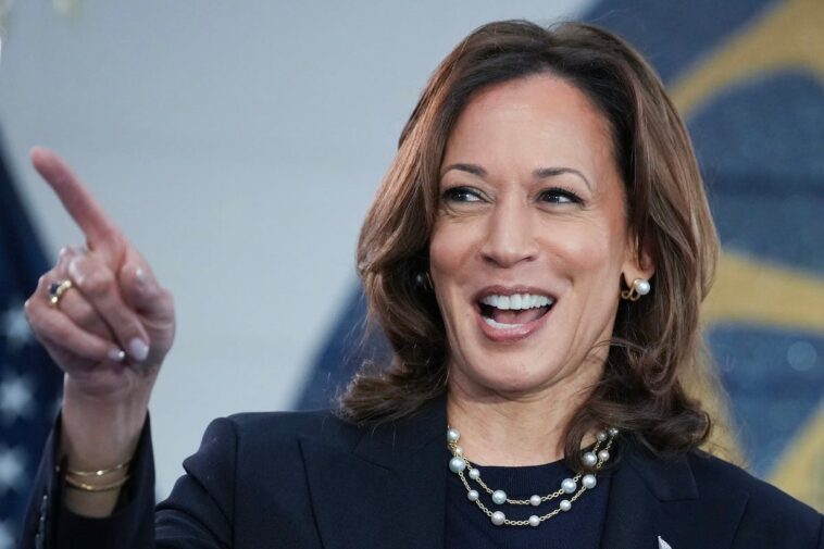 kamala-harris-is-already-beefing-with-her-own-party-ahead-of-2028-comeback-tour
