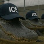 federal-and-state-officials-in-talks-to-close-down-florida’s-alligator-alcatraz