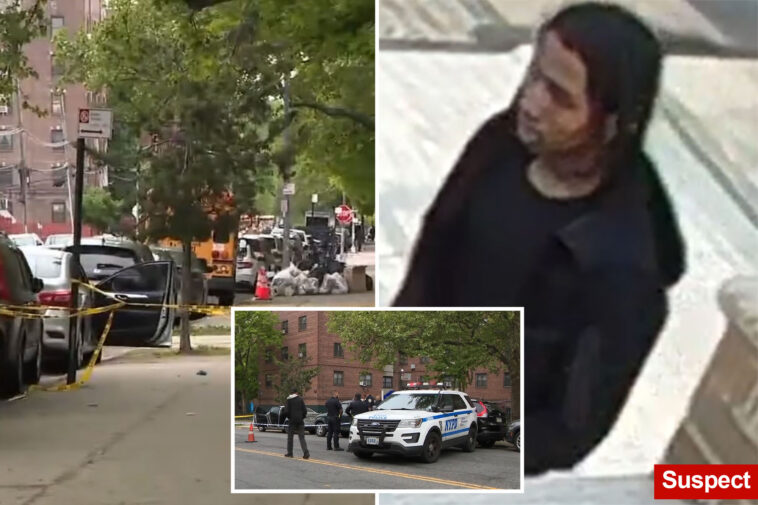 boy,-14,-shot-while-sitting-in-parked-car-in-apparently-targeted-nyc-attack:-cops,-sources