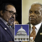 voters-overwhelmingly-back-age,-term-limits-for-house-and-senate-candidates-after-five-lawmakers-die-in-office-over-past-14-months:-poll