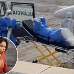 hantavirus-countdown:-how-long-it-takes-for-incurable-virus-to-kill,-from-initial-exposure-to-deadly-complications