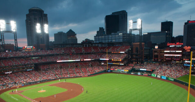watch:-cardinals-fan-dangles-himself-over-upper-deck,-fights-fans-who-pull-him-to-safety