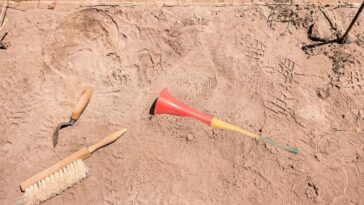 archeologists-unearth-vuvuzelas-blown-by-israelites-outside-walls-of-jericho