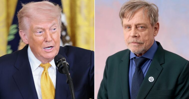 white-house-responds-as-‘sick-individual’-mark-hamill-posts-trump-death-image