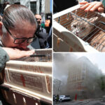 cat-trapped-in-building-after-massive-nyc-fire-rescued,-five-more-pets-still-inside