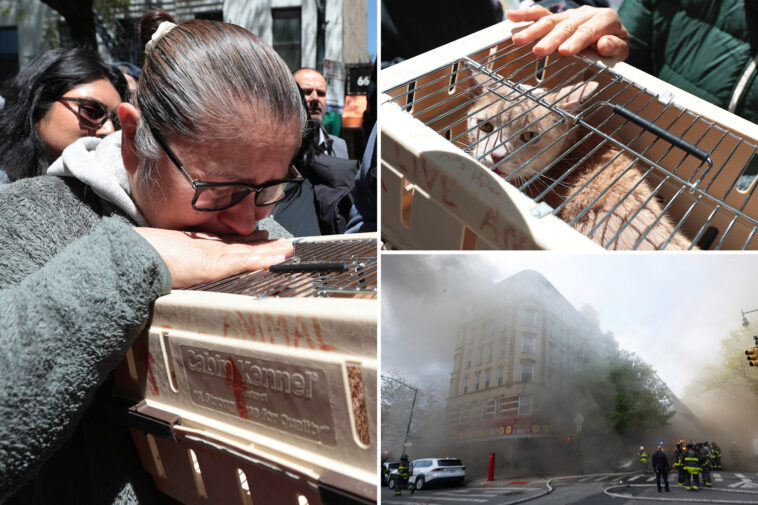 cat-trapped-in-building-after-massive-nyc-fire-rescued,-five-more-pets-still-inside