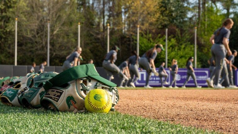 uab-softball-coach-under-investigation-amid-shocking-allegations-of-punching-player,-racist-comments-and-abuse