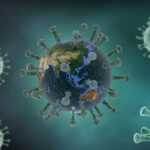 us.-health-officials-monitor-cruise-passengers-in-multiple-states-after-hantavirus-outbreak