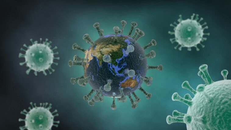 us.-health-officials-monitor-cruise-passengers-in-multiple-states-after-hantavirus-outbreak