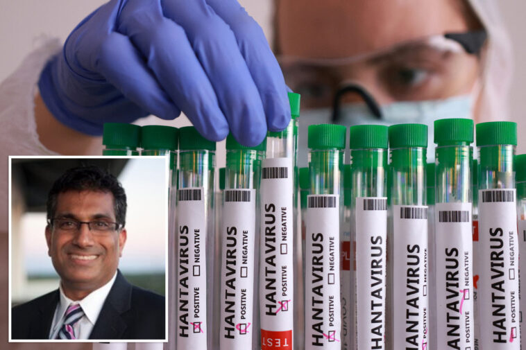 key-reason-why-hantavirus-won’t-turn-into-a-covid-pandemic,-according-to-leading-health-expert