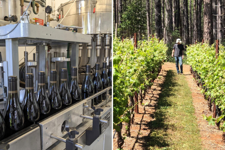 napa-valley-civil-war-breaks-out-after-struggling-winery-launches-ambitious-plan-to-save-vineyard