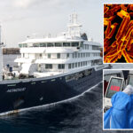 california-under-scope-of-health-officials-after-hantavirus-outbreak