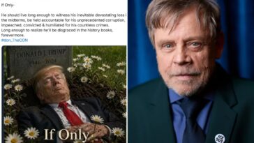 ‘star-wars’-actor-mark-hamill-deletes-image-depicting-trump-as-deceased,-posts-new-photo-to-‘apologize’-after-backlash