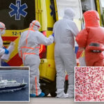 cdc-classifies-hantavirus-outbreak-as-a-‘level-3’-emergency-response:-report