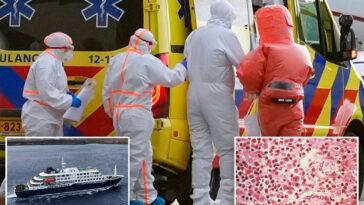 cdc-classifies-hantavirus-outbreak-as-a-‘level-3’-emergency-response:-report