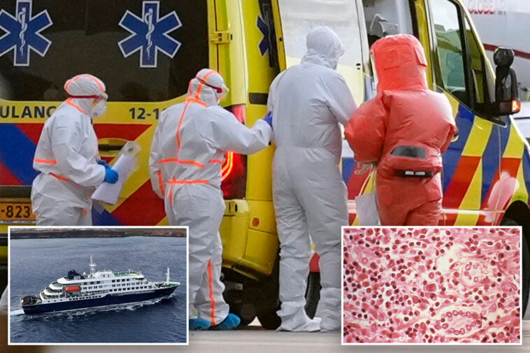 cdc-classifies-hantavirus-outbreak-as-a-‘level-3’-emergency-response:-report