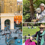 new-pitch-to-install-permanent-gates-at-iconic-washington-square-park-reignites-debate-among-nyers:-‘it’s-not-a-good-image-of-nyc’