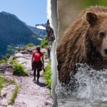body-of-missing-hiker-discovered-off-trail-as-investigators-probe-rare-deadly-bear-encounter