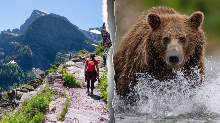 body-of-missing-hiker-discovered-off-trail-as-investigators-probe-rare-deadly-bear-encounter