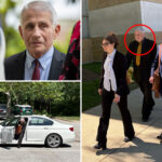 ex-senior-adviser-to-anthony-fauci-claims-he’s-‘innocent’-of-charges-for-destroying-covid-records
