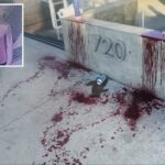 samurai-sword-wielding-maniac-nearly-hacked-off-man’s-arm-in-venice-—and-he’s-on-the-run