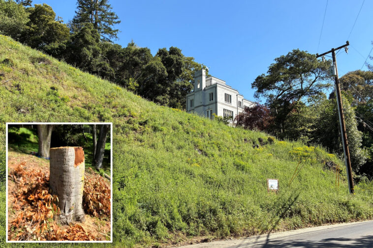 california-couple-hit-with-staggering-fine-for-cutting-down-trees-on-their-own-property
