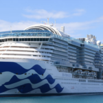 highly-contagious-norovirus-spreads-on-cruise-ship,-sickening-over-100-passengers-and-crew