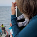 cdc:-risk-of-cruise-ship-hantavirus-spreading-to-us.-public-is-‘low’