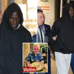 stranger-assaulted-by-maniac-weeks-before-he-pushed-retired-nyc-teacher-to-death-recounts-frightening-attack:-‘why-is-he-following-us?’