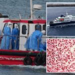 us-moving-to-evacuate-american-passengers-aboard-hantavirus-cruise-ship,-quarantine-in-nebraska