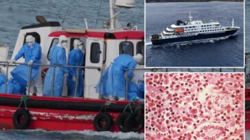 us-moving-to-evacuate-american-passengers-aboard-hantavirus-cruise-ship,-quarantine-in-nebraska