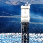 regulators-allow-obama-era-solar-plant-to-kill-thousands-of-birds-annually,-investigation-finds