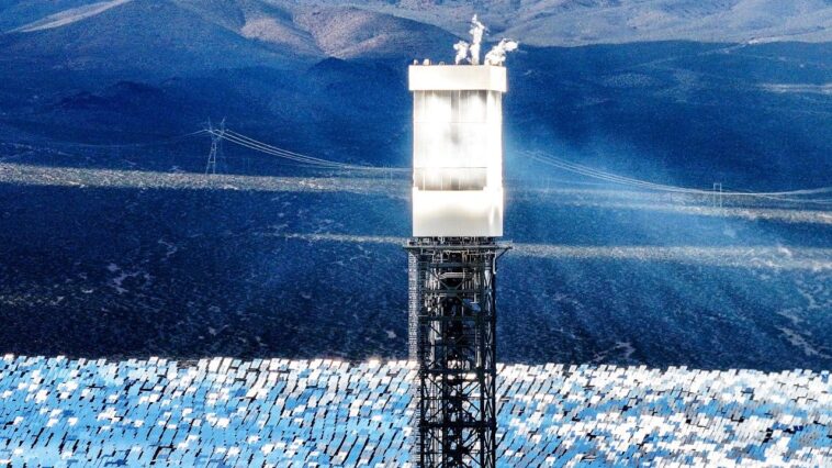 regulators-allow-obama-era-solar-plant-to-kill-thousands-of-birds-annually,-investigation-finds