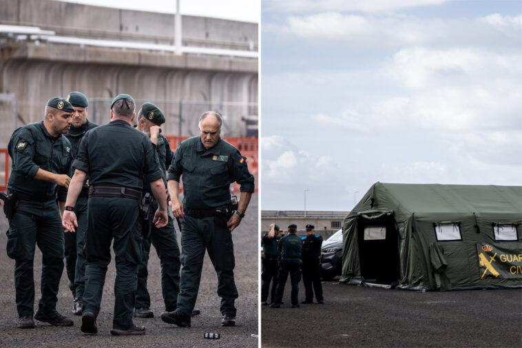 who-to-oversee-evacuations-from-hantavirus-stricken-cruise-ship,-issues-message-to-spanish-island-residents:-‘not-another-covid’