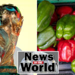news-of-the-world:-what-you-missed-this-week-internationally