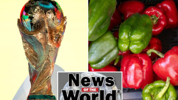 news-of-the-world:-what-you-missed-this-week-internationally