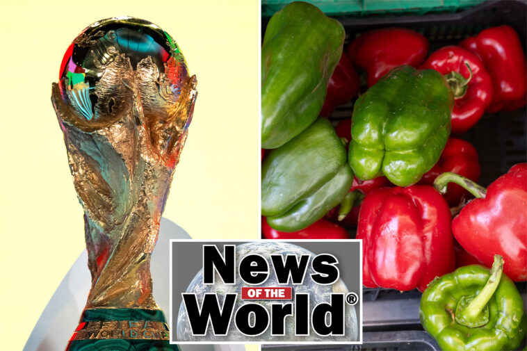 news-of-the-world:-what-you-missed-this-week-internationally