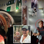 la-bound-family-on-horror-flight-reveals-gruesome-moment-plane-struck-person