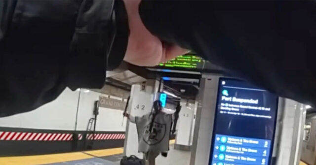 video-—-nypd-officer-fatally-shoots-machete-wielding-man-accused-of-slashing-3-elderly-people:-‘i-am-lucifer!’