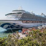 over-100-passengers-and-crew-stricken-with-highly-contagious-norovirus-on-caribbean-princess-cruise-ship