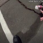 colorado-police-rescue-unlucky-skunk-stuck-in-a-cup