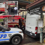 straphanger,-33,-stabbed-multiple-times-in-nyc-subway-attack-—-crazed-attacker-still-on-the-loose:-cops