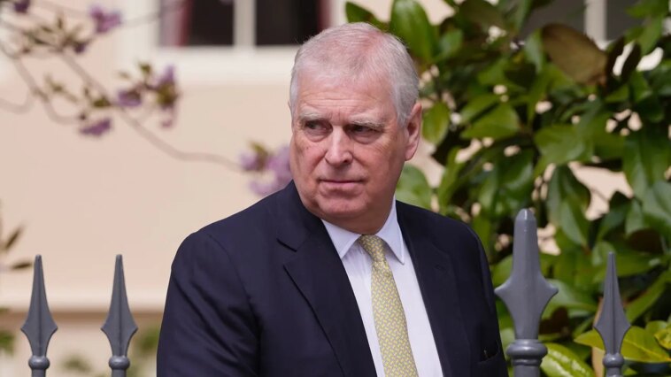 man-accused-of-threatening-former-prince-andrew-near-sandringham-home-pleads-not-guilty-in-court