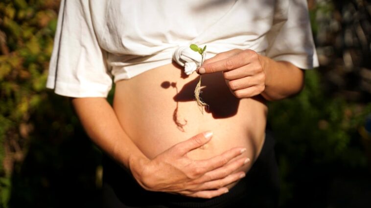 the-surprising-thing-modern-culture-keeps-getting-wrong-about-motherhood