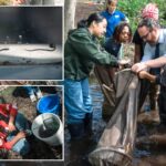 slippery-slope:-cold-winter-affects-nyc-migration-of-this-nearly-see-through-fish