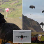 british-army-drops-paratroopers-onto-remote-atlantic-island-to-help-hantavirus-infected-cruise-ship-passenger